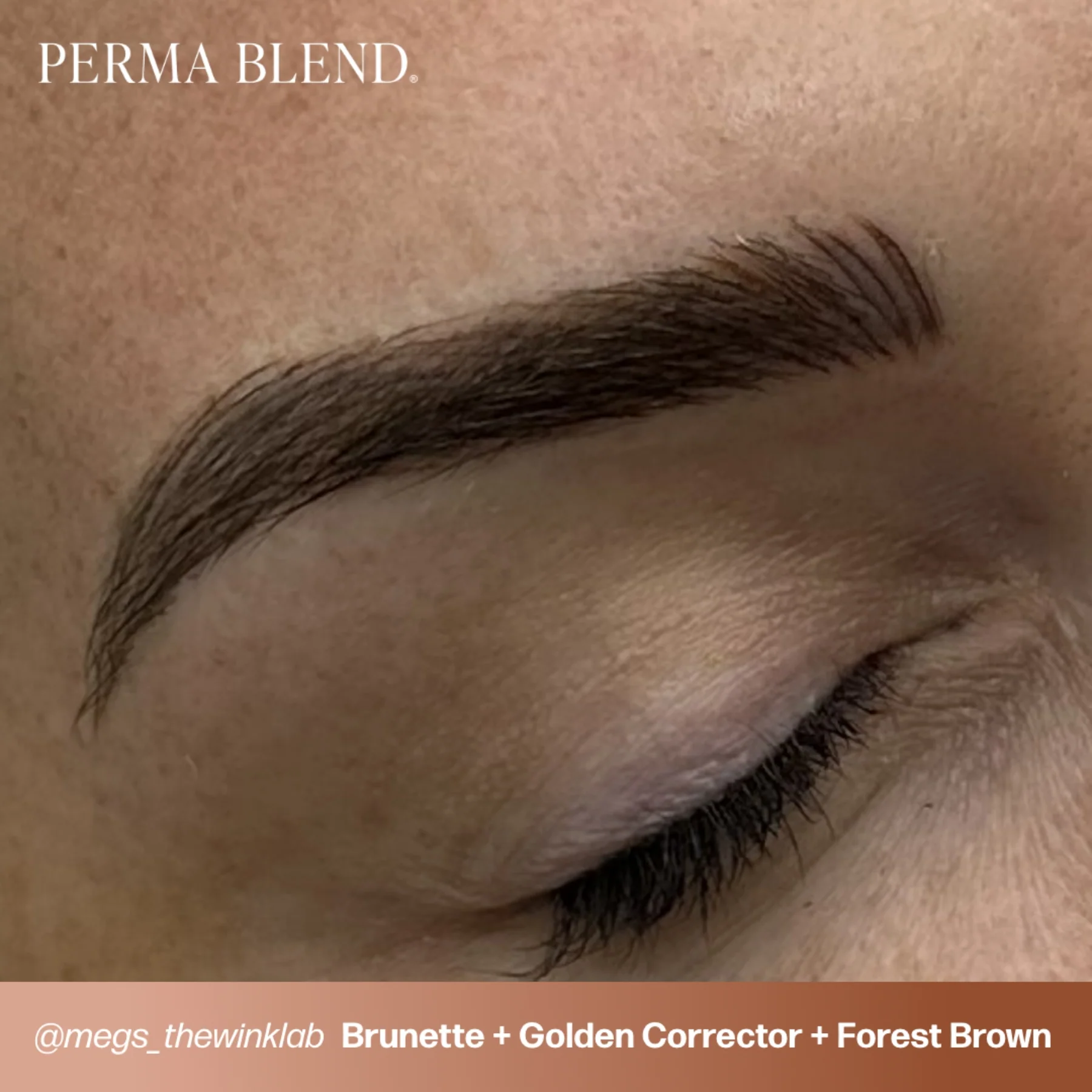 Perma Blend Corrector Pigments - Golden Corrector - Image 2