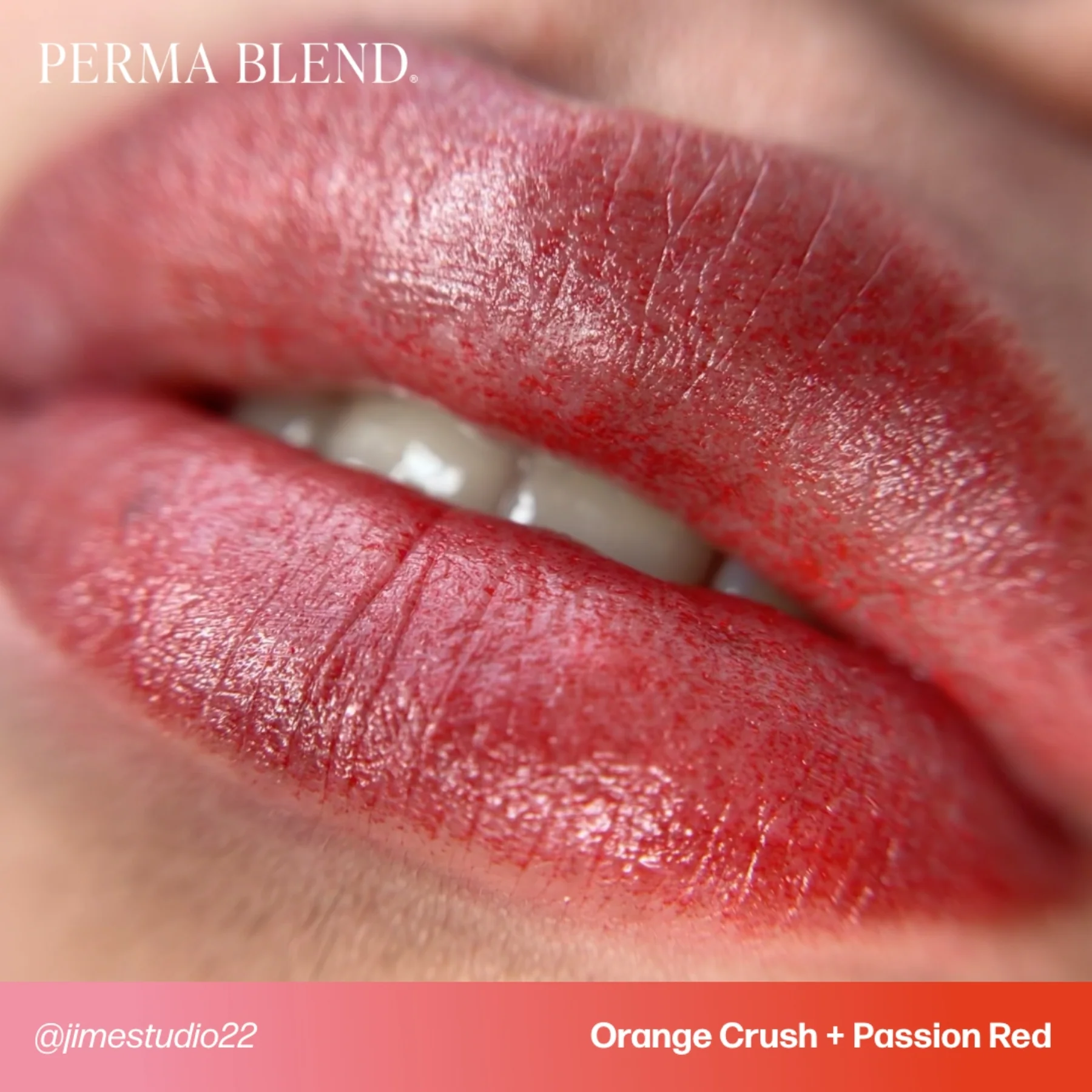 Perma Blend Lip Pigments - Passion Red - Image 4