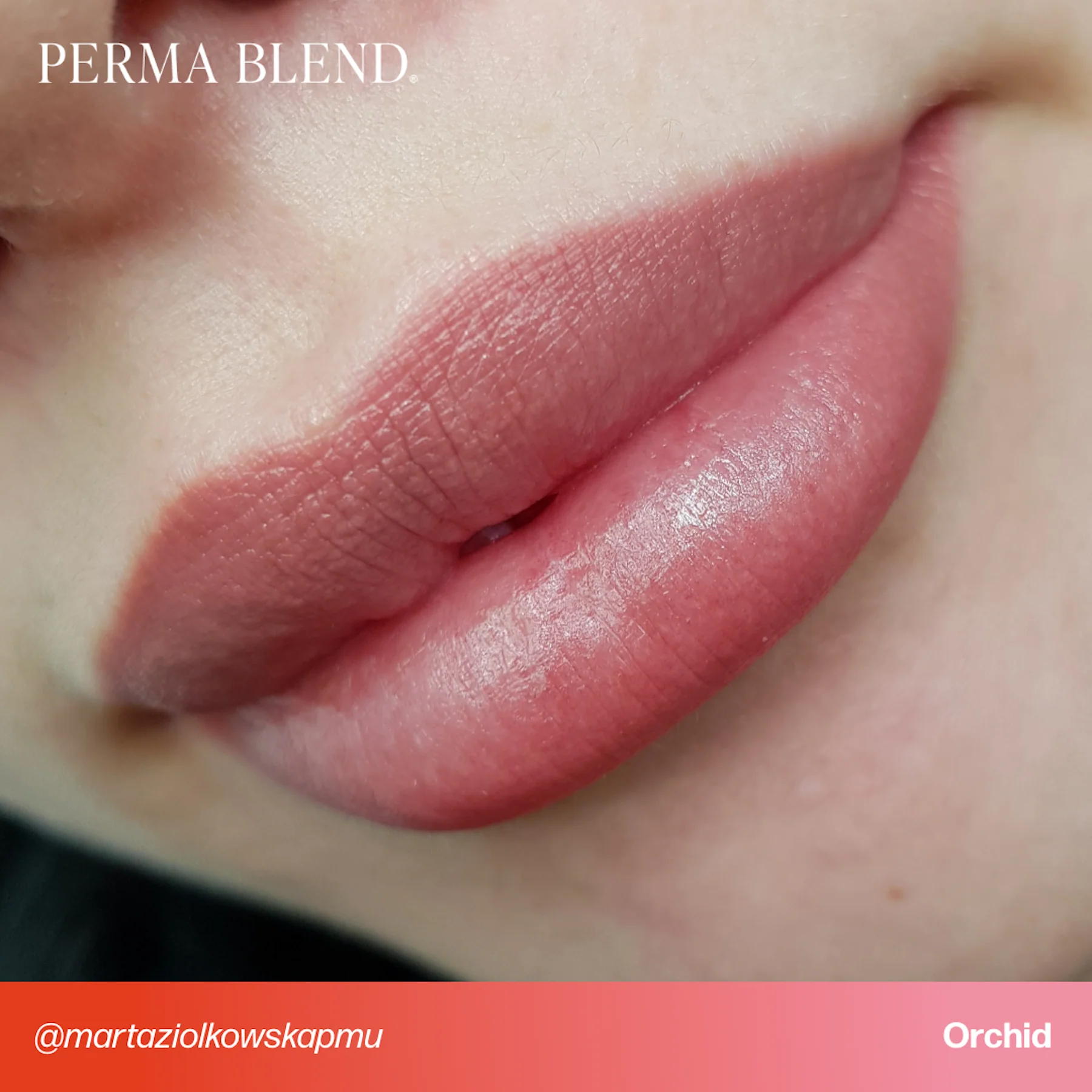 Perma Blend Signature Lips Set - Image 15
