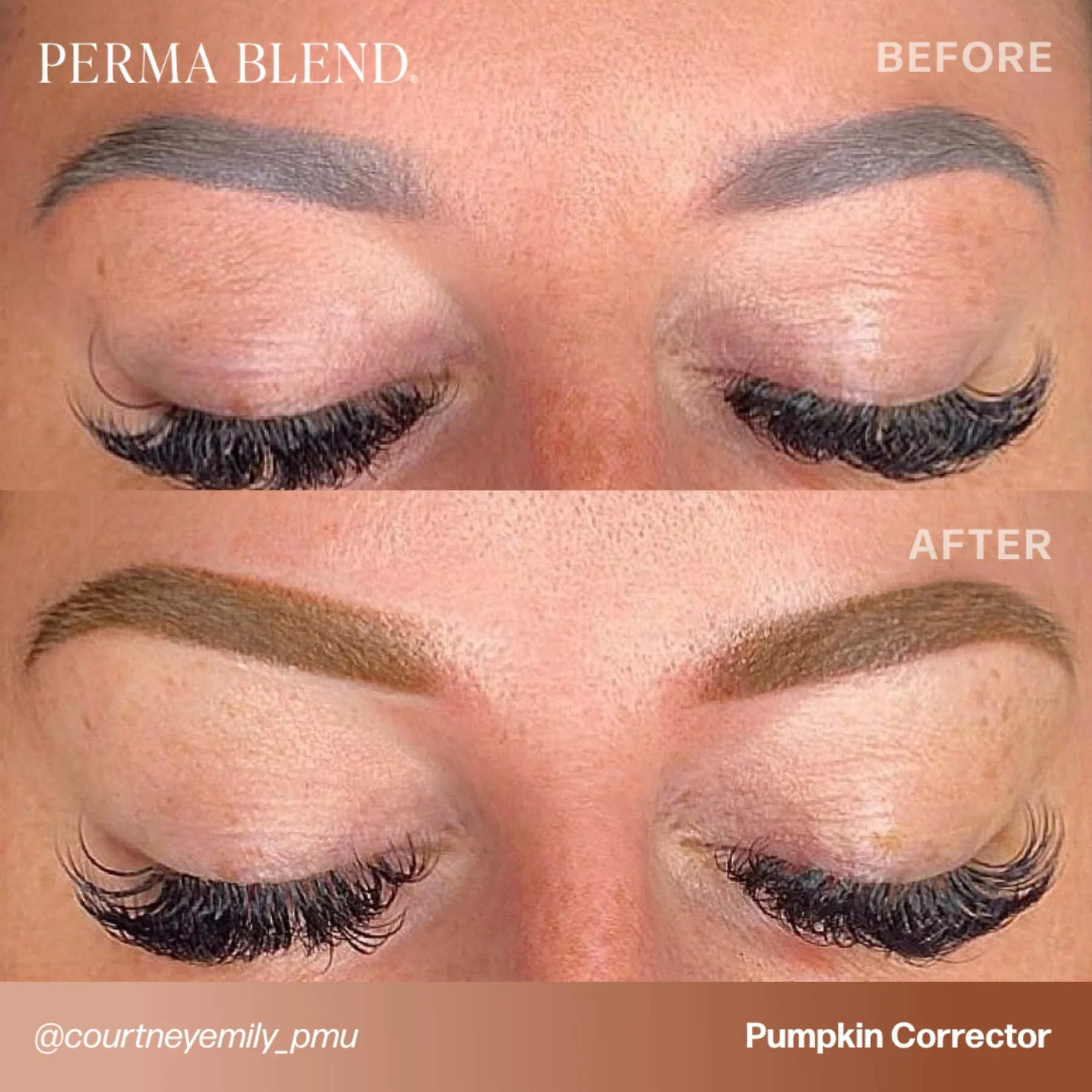 Perma Blend Corrector Pigments - Pumpkin Corrector - Image 2